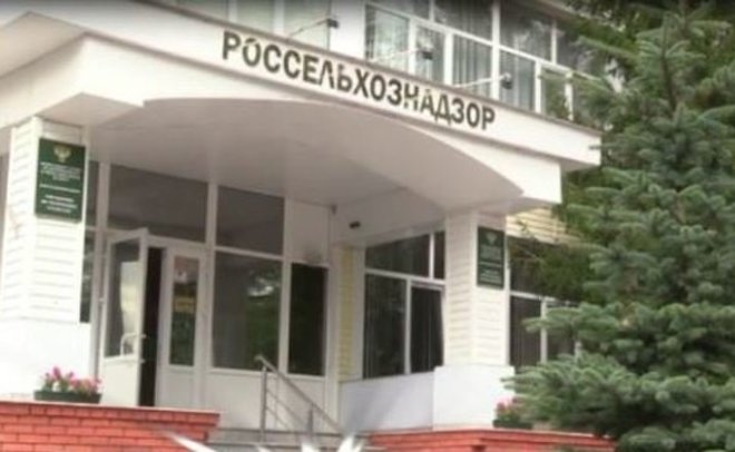 Премии в особо крупном размере: главбуха татарстанского Россельхознадзора обвиняют в мошенничестве