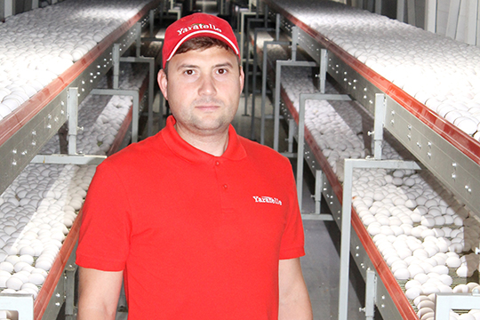 Фанис Нигаматуллин: «Потребление яйца в Татарстане — порядка  1 миллиарда 200 тысяч яиц  из расчета  308 штук на человека в год, такое же, кстати, как и в Европе. И 25 процентов этого рынка  занимаем мы»