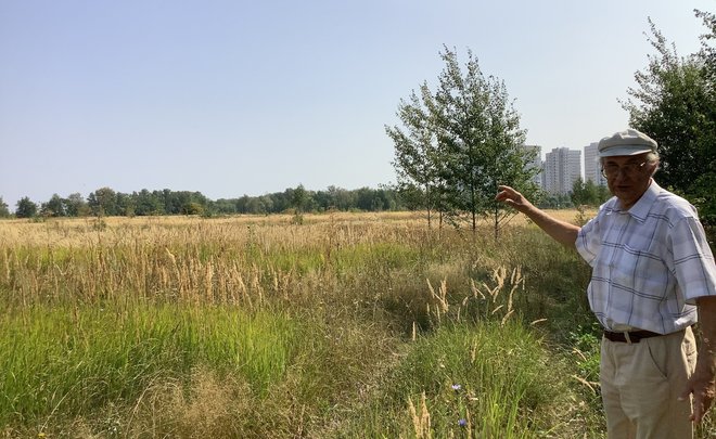 В Казани предлагают создать экопарк нового вида — «луговой»