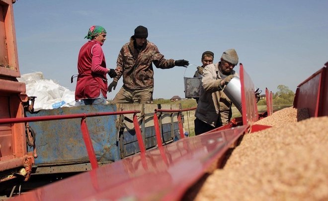 В Минсельхозпроде Татарстана проморгали «золотой дождь» для аграриев